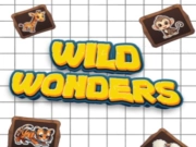 Wild Wonders — безплатна онлайн игра