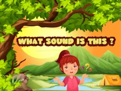 What Sound Is This? — free online game