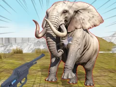 Zoo Anomaly Simulation — free online game