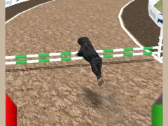 Dog Racing Simulator — free online game