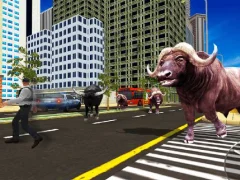 Wild Bull Shooter — free online game