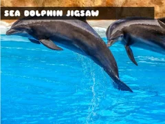 Sea Dolphin Jigsaw — free online game