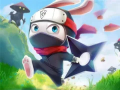 Гаме Ninja Rabbit онлајн