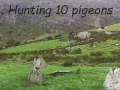 Pigeons Hunting — free online game
