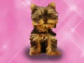 Wash Pets Princess Kids     — free online game