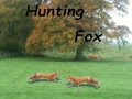 Hunting Fox — free online game