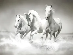 თამაში Horses Puzzle ონლაინ