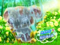 游戏Happy Koala在线