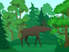 Spill Wild Animals Coloring online