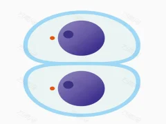 Cutting master — free online game