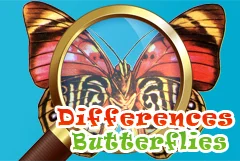 Differences Butterflies