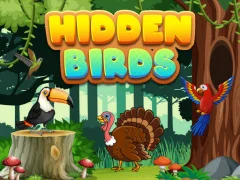 Hidden Birds — free online game