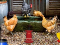 Poultry Farm Easter Escape — free online game