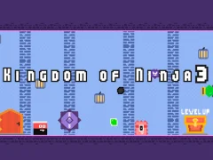 Kingdom of Ninja 3 — free online game