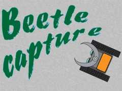 Beetle Capture — free online game
