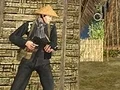 VNW To Be Determined To Fight — free online game