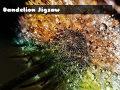 Dandelion Jigsaw — free online game