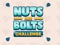 Nuts and Bolts Challenge — free online game
