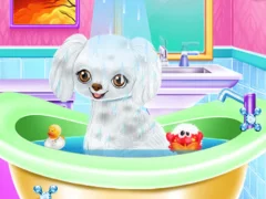 My New Poodle Friend — لعبة مجانية اون لاين