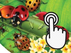 Permainan Ladybug Clicker secara online