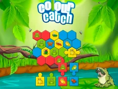 Colour Catch — free online game