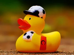 Yellow Ducks Puzzle — free online game