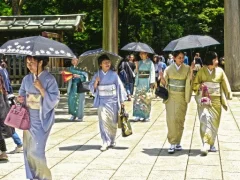 Igra 100 Butterflies in Japan online