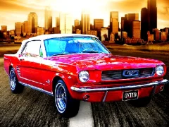 Daily Mustang — free online game