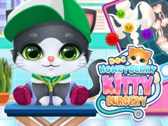 Leikur Doc HoneyBerry Kitty Surgery á netinu