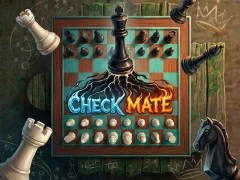 Mchezo Checkmate Game online
