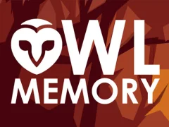Owl Memory — jogo online grátis