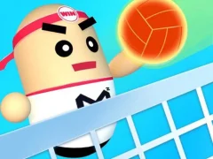 Amazing Volleyball — free online game
