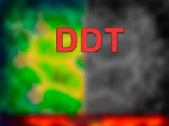 游戏DDT在线