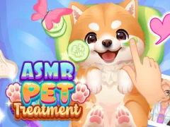 Mchezo ASMR Pet Treatment online