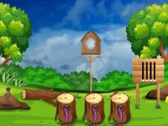 Parrot Rescue — 無料オンラインゲーム