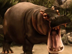 Wild Hippopotamus Hunting — لعبة مجانية اون لاين
