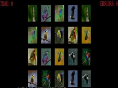 Laro Memorize the birds online