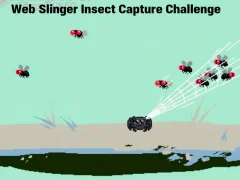 Web Slinger Insect Capture Challenge — free online game