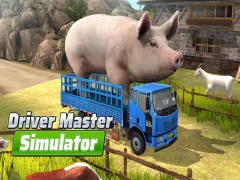 Driver Master Simulator — free online game