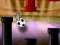 Football Fly