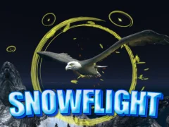 Mchezo Snowflight online