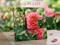 Xogo NGS Puzzle en liña