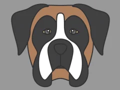 Doggy Face Coloring — free online game