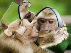Chimpanzee Jigsaw — free online game