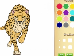 Wild Animals Coloring Book — free online game