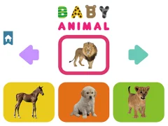 Baby Animal — free online game