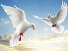 Mchezo Flying Birds online