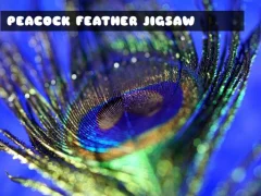 Peacock Feather Jigsaw — free online game
