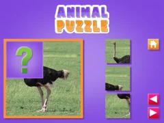 Animal Puzzle — free online game