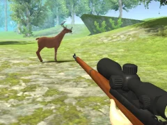 Big Game Hunting — free online game